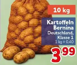 CENTERSHOP Kartoffeln Bernina Angebot