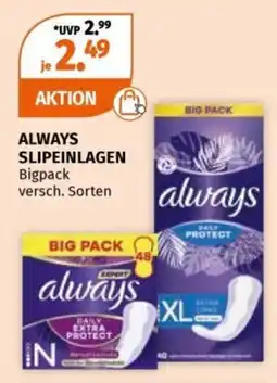 Müller ALWAYS SLIPEINLAGEN Bigpack Angebot