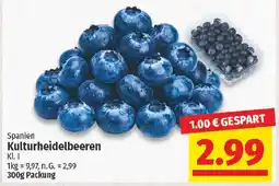 nah & gut Spanien Kulturheidelbeeren Angebot