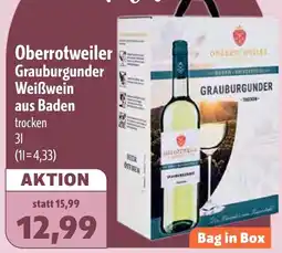 Aktiv Irma Oberrotweiler Grauburgunder Weißwein aus Baden Angebot
