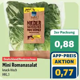 Aktiv Irma Mini Romanasalat Angebot