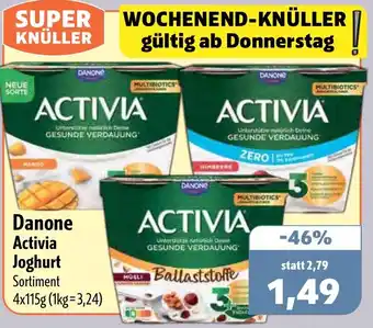 Aktiv Irma Danone Activia Joghurt Angebot