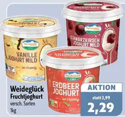 Aktiv Irma Weideglück Fruchtjoghurt Angebot