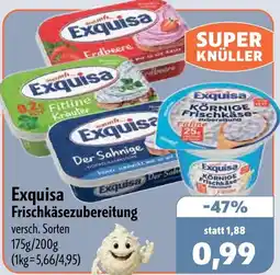 Aktiv Irma Exquisa Frischkäsezubereitung Angebot
