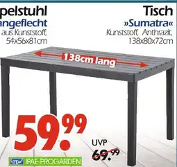 Wreesmann Ipae-progarden tisch sumatra Angebot