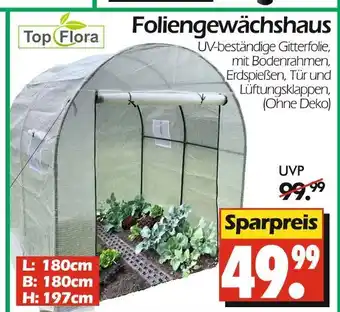 Wreesmann Top flora foliengewächshaus Angebot