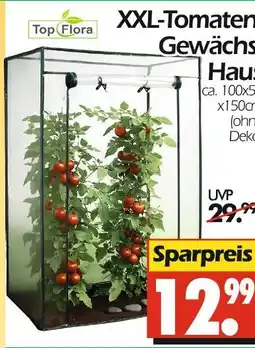 Wreesmann Top flora xxl-tomaten gewächshaus Angebot