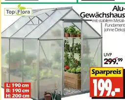 Wreesmann Top flora alu-gewächshaus Angebot