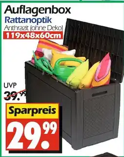 Wreesmann Auflagenbox rattanoptik Angebot