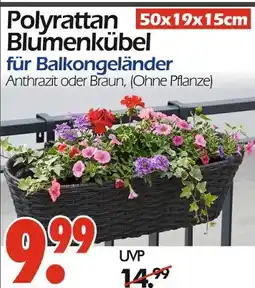 Wreesmann Polyrattan blumenkübel anthrazit Angebot