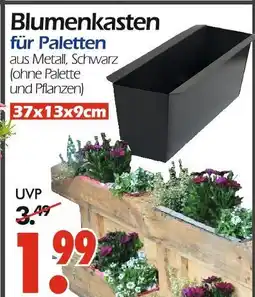 Wreesmann Blumenkasten für paletten Angebot