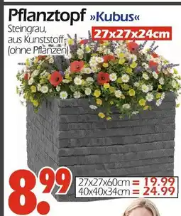 Wreesmann Pflanztopf kubus Angebot