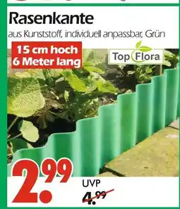 Wreesmann Top flora rasenkante Angebot
