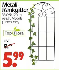 Wreesmann Top flora metall-rankgitter Angebot