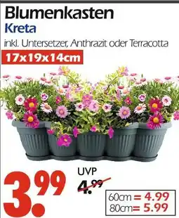 Wreesmann Blumenkasten kreta 17x19x14cm Angebot