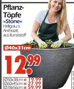 Wreesmann Pflanztopf stone Angebot