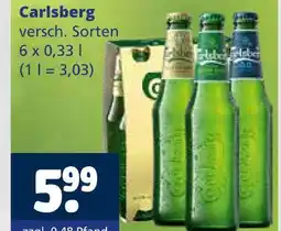 Getränkewelt Carlsberg bier Angebot
