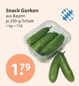 V Markt Snack gurken Angebot