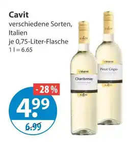 V Markt Cavit chardonnay Angebot