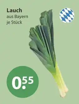 V Markt Lauch Angebot