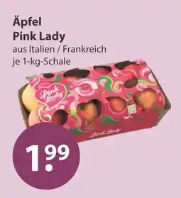 V Markt Pink lady äpfel Angebot