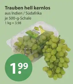 V Markt Trauben hell kernlos Angebot