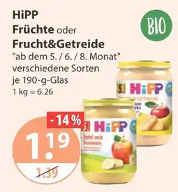 V Markt Hipp früchte Angebot
