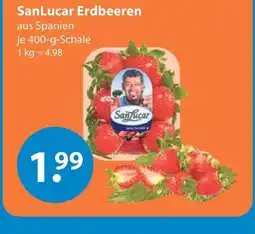 V Markt Sanlucar erdbeeren Angebot