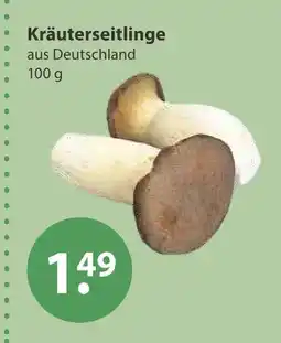 V Markt Kräuterseitlinge Angebot