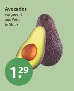 V Markt Avocados Angebot