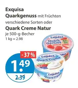 V Markt Exquisa quarkgenuss mit früchten Angebot