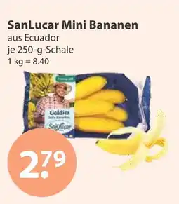 V Markt Sanlucar mini bananen Angebot