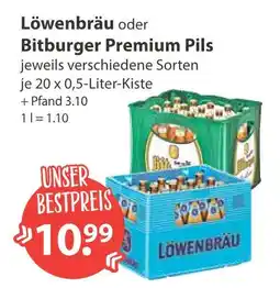 V Markt Löwenbräu oder bitburger premium pils Angebot