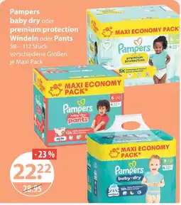 V Markt Baby dry oder premium protection windeln oder pants Angebot