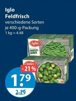 V Markt Iglo feldfrisch Angebot