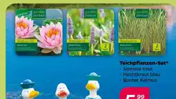 NETTO Garden product teichpflanzen-set Angebot
