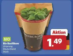 Combi Bio basilikum Angebot