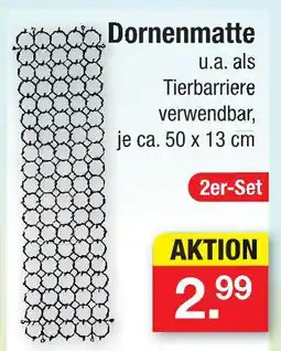 Zimmermann Dornenmatte Angebot