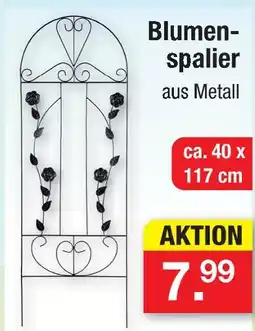 Zimmermann Blumenspalier Angebot