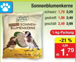 Zimmermann Birds garden sonnenblumenkerne schwarz Angebot