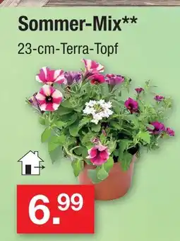 Zimmermann Sommer-mix Angebot