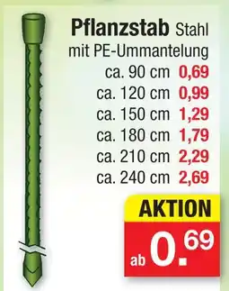 Zimmermann Pflanzstab stahl Angebot