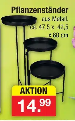 Zimmermann Pflanzenständer Angebot