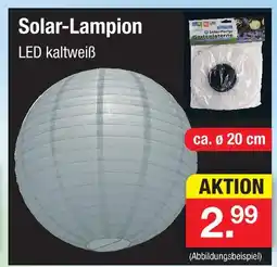 Zimmermann Solar-lampion Angebot