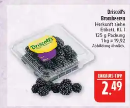 Marktkauf Driscoll's brombeeren Angebot