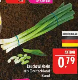 Marktkauf Lauchzwiebeln Angebot