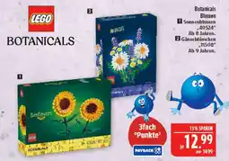 Marktkauf Lego botanicals sonnenblumen Angebot