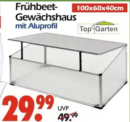 Wreesmann Top garten frühbeet-gewächshaus Angebot