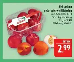 Marktkauf Nektarinen gelbfleischig Angebot