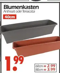 Wreesmann Blumenkasten Angebot
